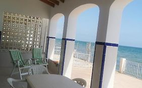 Villa X